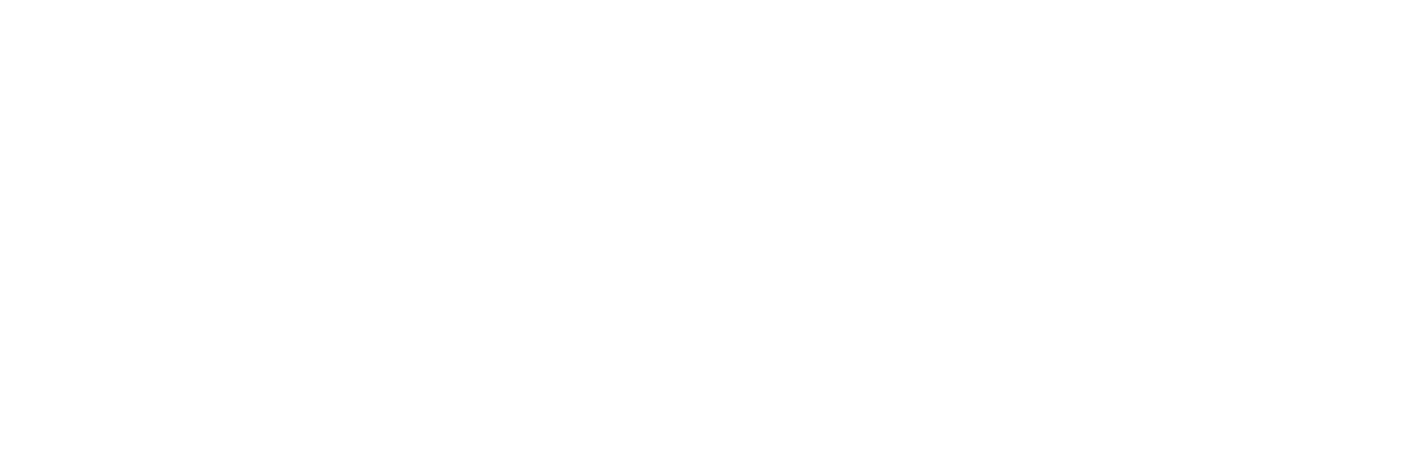 IVIX Logo White