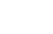 Ally-Logo