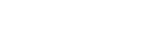 PalmeraConsultingWhite